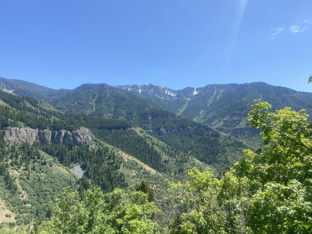 Forested mountain ridges beneath a clear blue sky, from Benjamin Foskey’s photo archive.